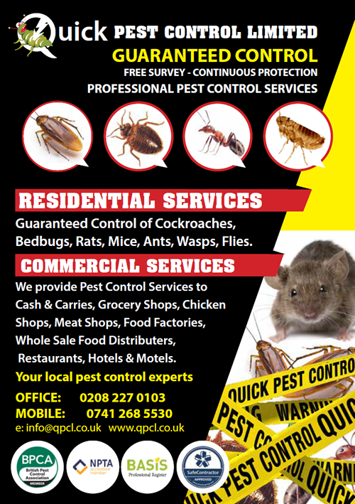 Quick Pest Control Ltd Services For Flying Insects, Rodents, Wasps, Bed ...